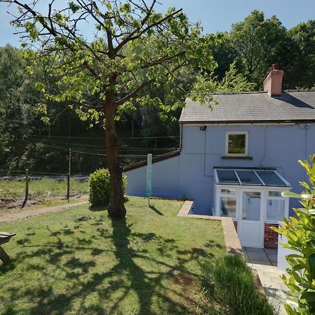 Lilac Cottage Parkend エクステリア 写真