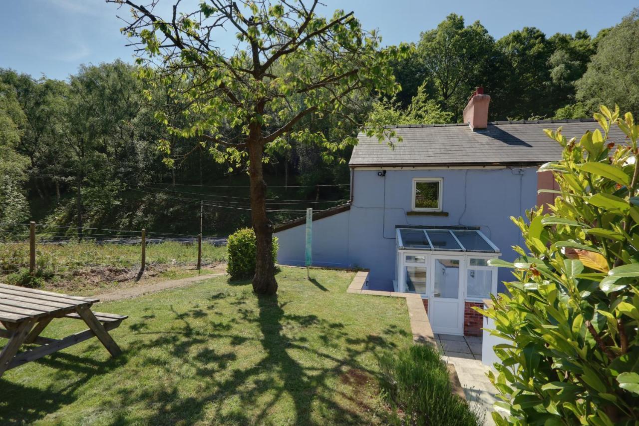 Lilac Cottage Parkend エクステリア 写真