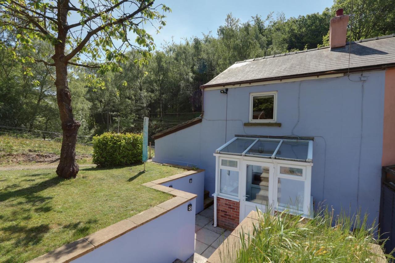 Lilac Cottage Parkend エクステリア 写真